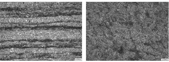 螺栓偏析組織 200&times;螺栓疏松組織 500&times;