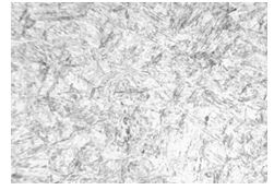 不銹鋼螺栓檢測(cè)