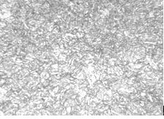 1Cr12Ni2WMoVNb螺栓淬火回火金相組織 200&times;