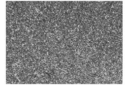 圖5-49 Cr17Ni2原材料金相組織200&times;