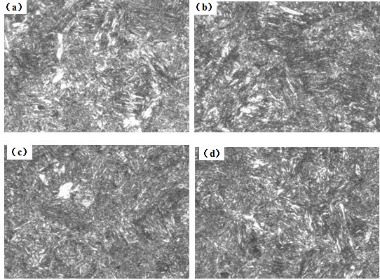 圖12-15 （a、b、c、d） 1～4號樣金相組織 500&times;