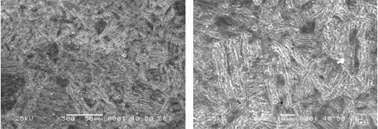 圖16-69 無(wú)裂紋件的組織形貌 500&times;圖16-70 無(wú)裂紋件的組織形貌 1000&times;