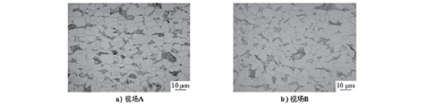 雙相鋼黑白金相顯微組織形貌