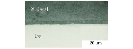 圖1 1號(hào)試樣表面氧化層形貌 圖1 1號(hào)試樣表面氧化層形貌