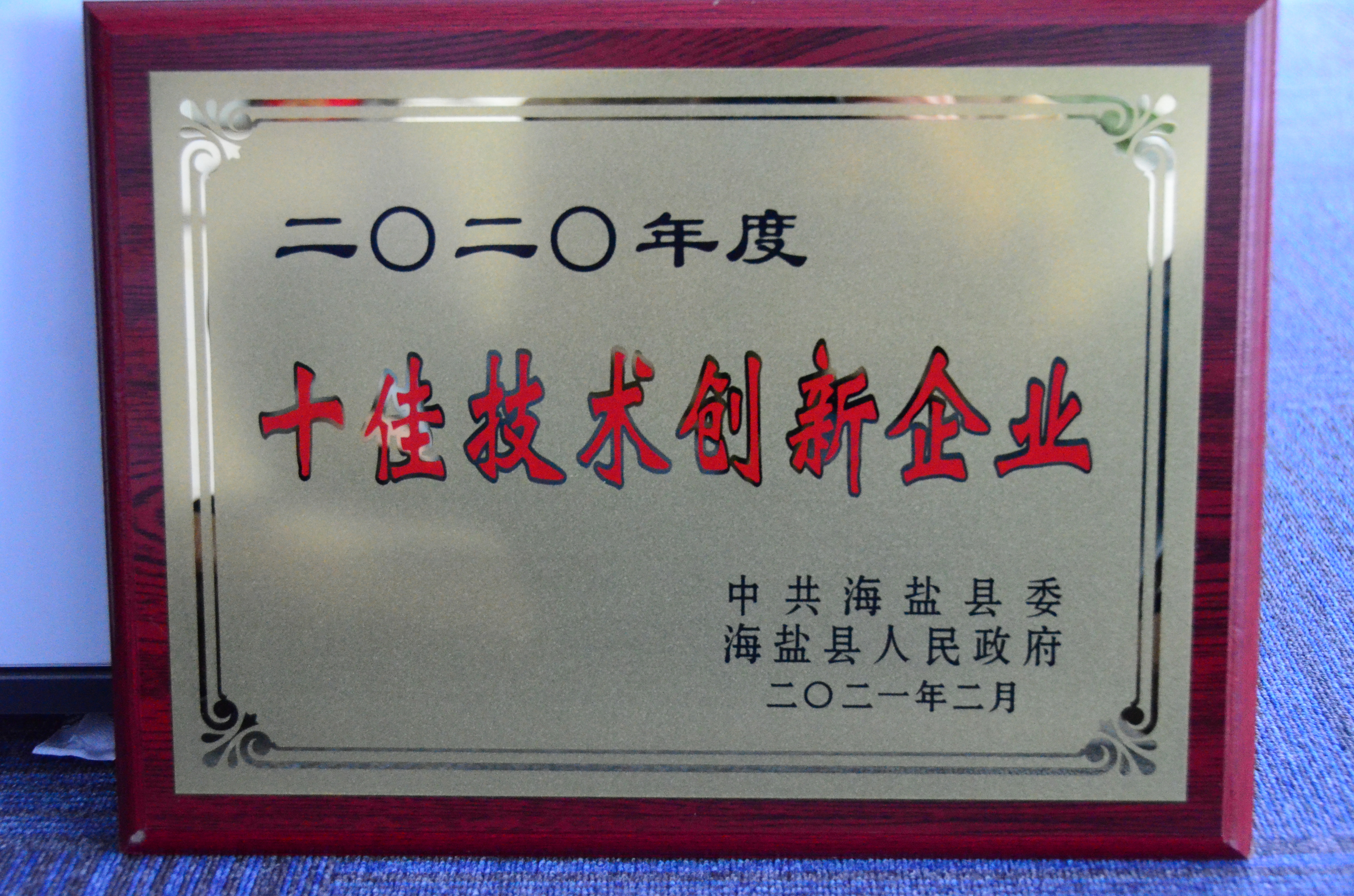 縣級十佳技術創(chuàng)新企業(yè)